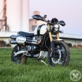 Motodemic LED Headlight Conversion Kit for Triumph Scrambler 1200 XC / XE Motodemic LED Headlight Conversion Kit for Triumph Scrambler 1200 XC / XE